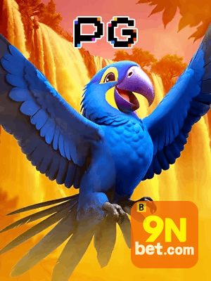 N9BET bônus — cashback 15 por cento e níveis VIP